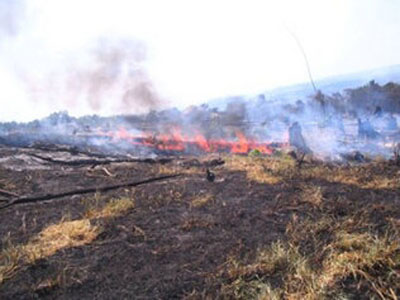 incendio-nicaragua.jpg